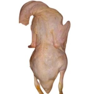 Duck : দেশি হাঁসের মাংস 1 kg± 100 gm