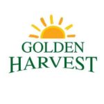 golden-harvevst