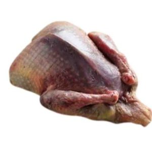Pigeon Meat ( কবুতরের মাংস ) 2 Pcs